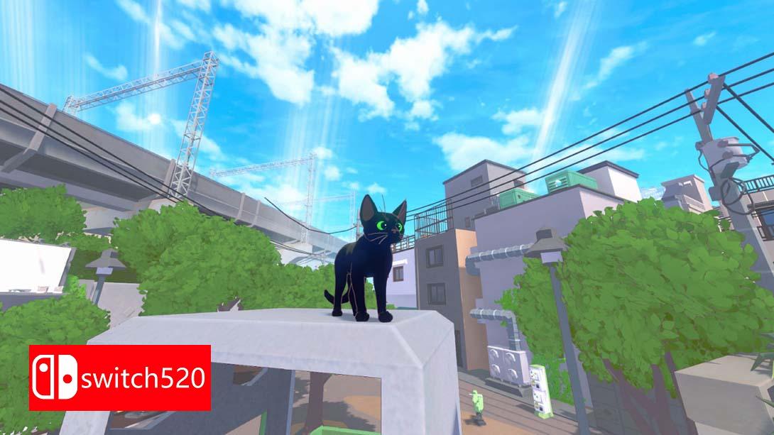 【美版】小猫咪，大城市 .Little Kitty, Big City 中文_5