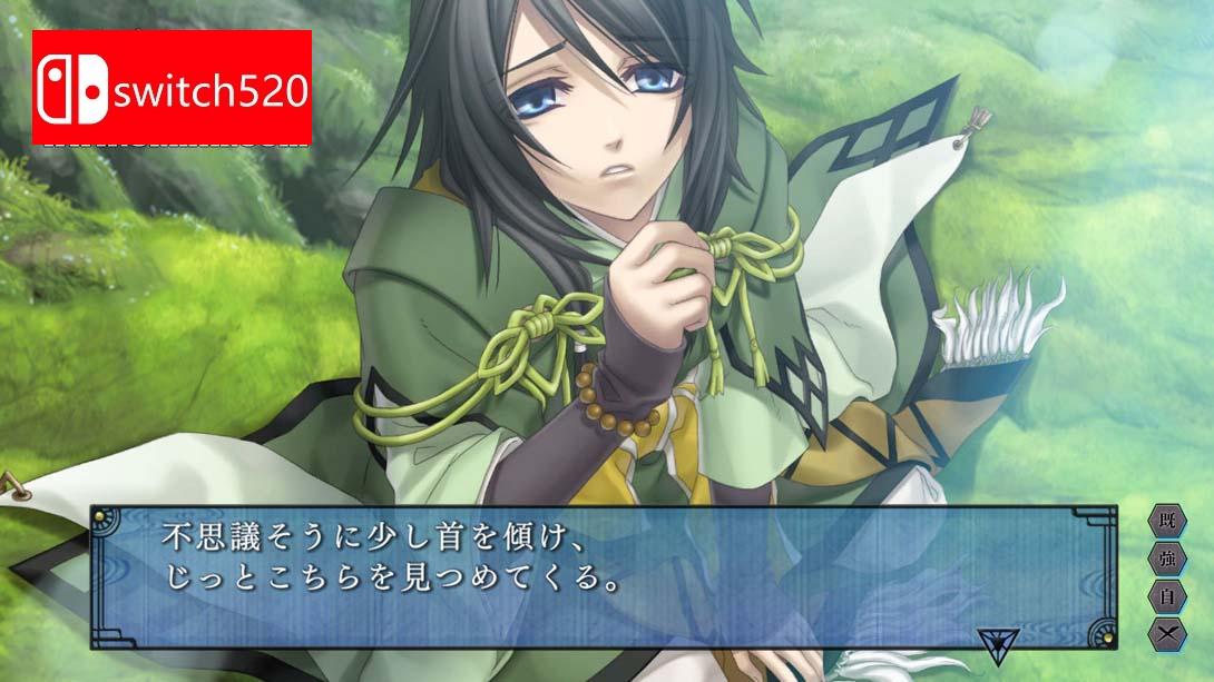 【日版】苍黑之楔~绯色的碎片 玉依姫奇谭~ .蒼黒の楔 ～緋色の欠片 玉依姫奇譚～ for Nintendo Switch 日语_6