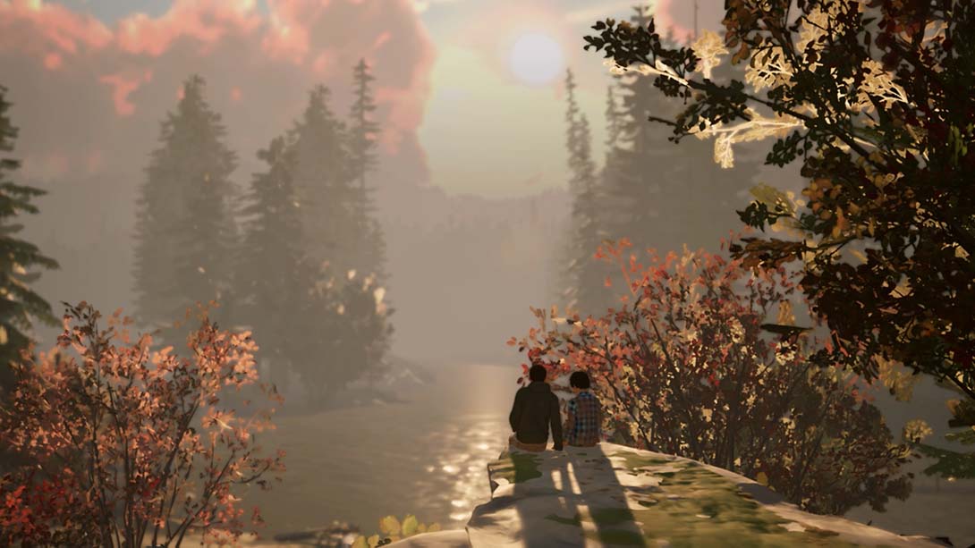 【美版】奇异人生2 Life is Strange 2 中文_2