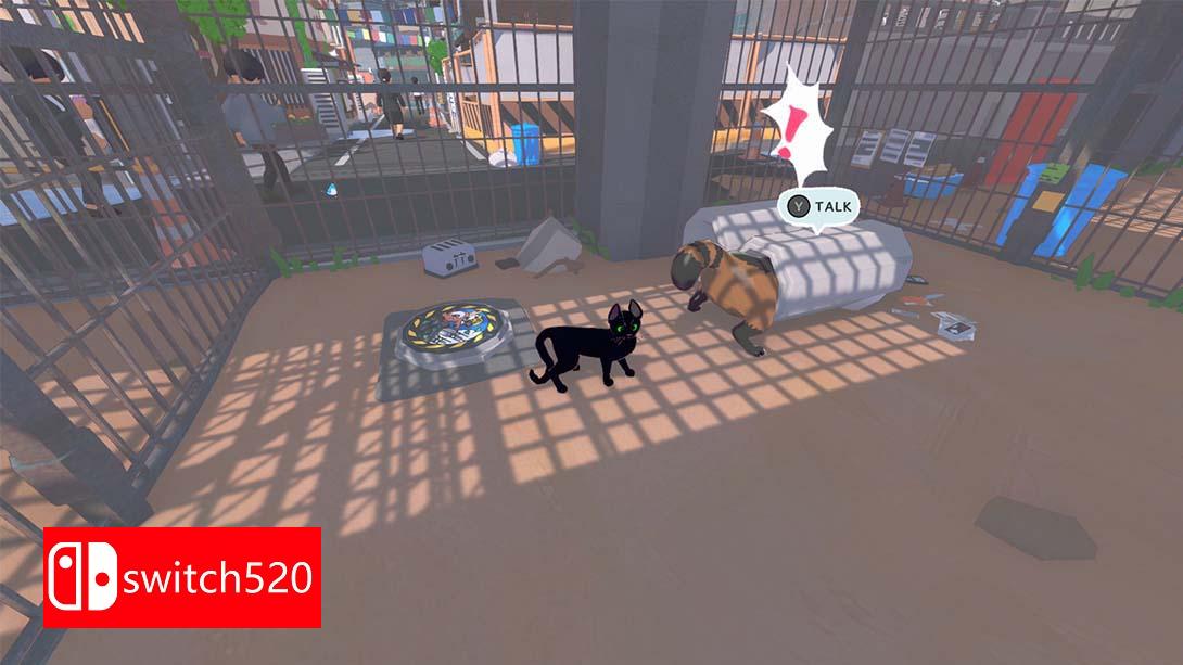 【美版】小猫咪，大城市 .Little Kitty, Big City 中文_6