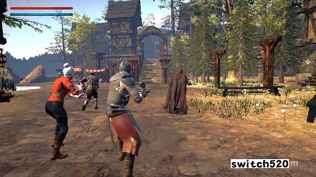【美版】骑士的救赎:自由之战 .Knight's Redemption: War for Freedom 英语_4
