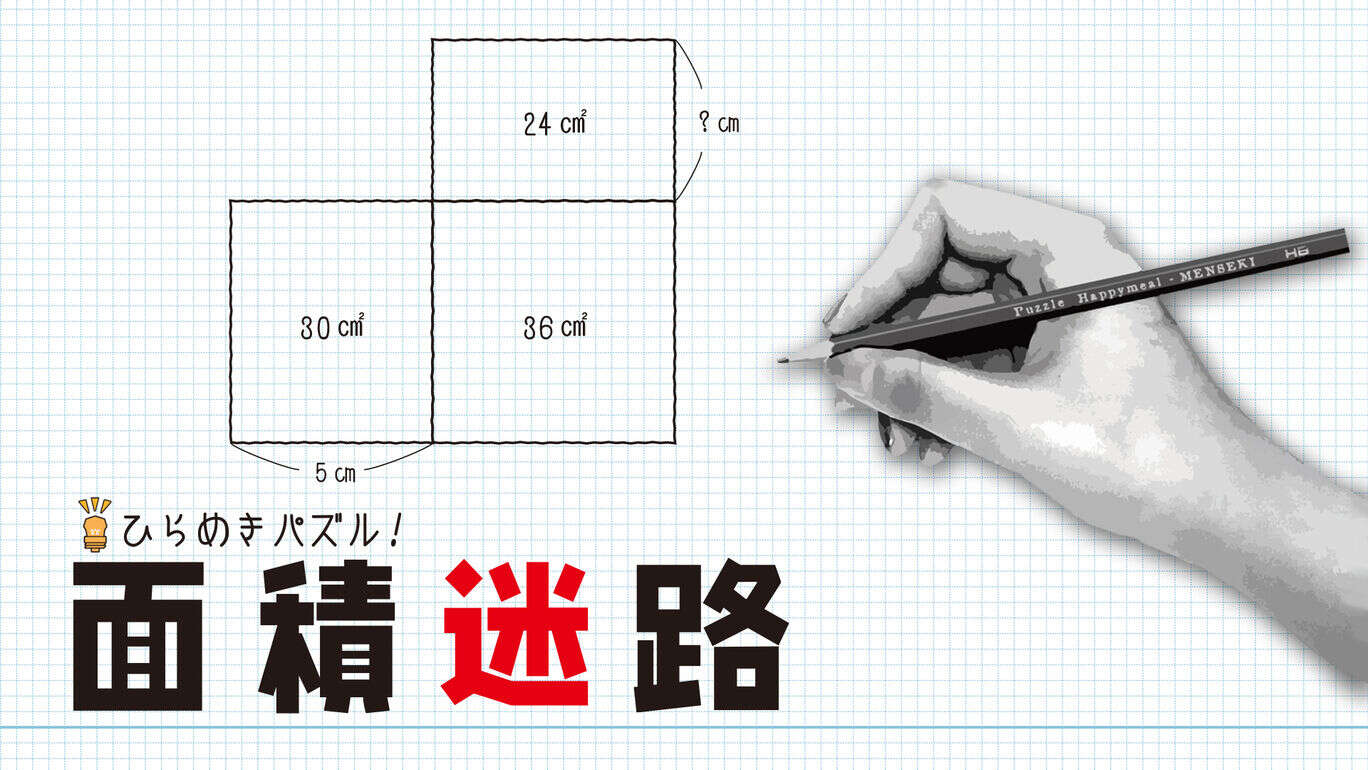 面积迷宫  MENSEKI Area maze puzzles  ひらめきパズル！面積迷路
