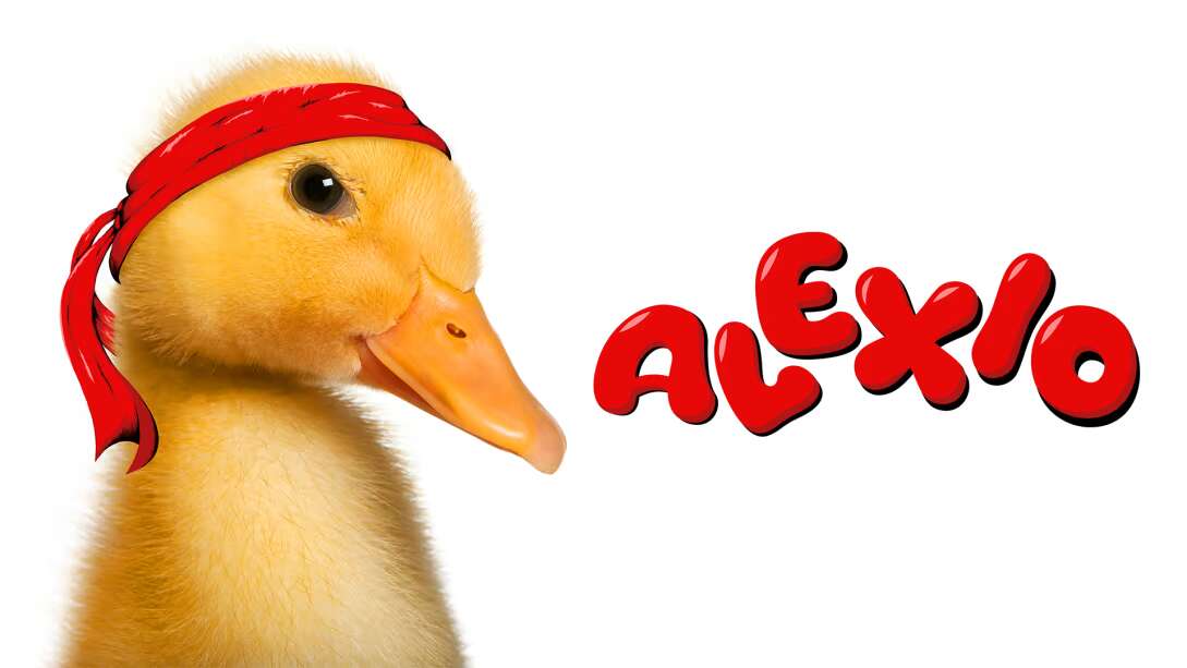 小鸭亚历克斯  Alexio