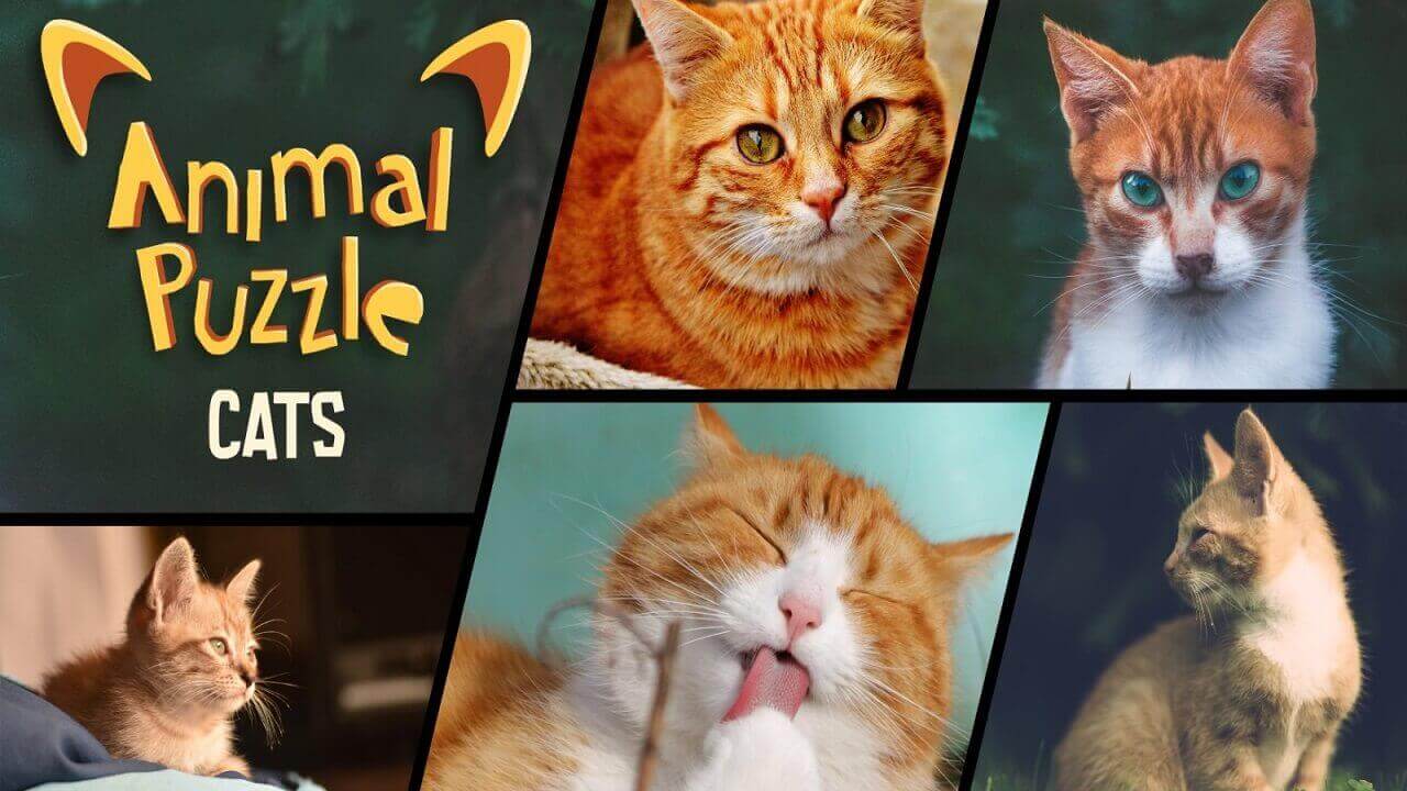 动物拼图猫