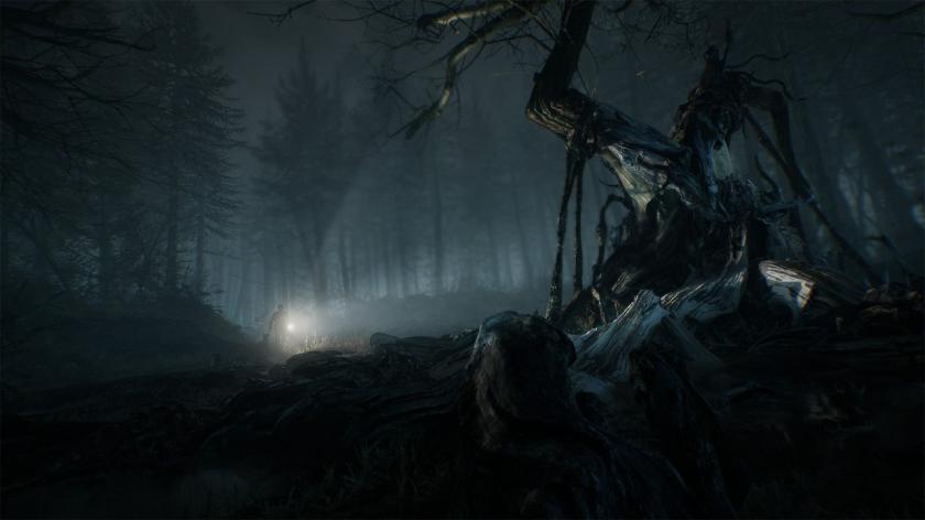 布莱尔女巫 Blair Witch_4