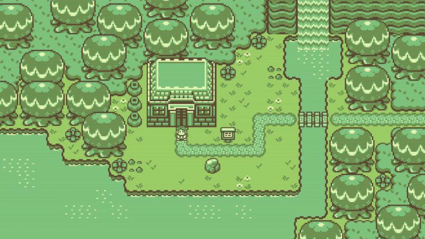 蒂莫西和神秘的森林 Timothy and the Mysterious Forest_0
