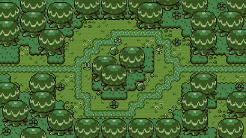 蒂莫西和神秘的森林 Timothy and the Mysterious Forest_2